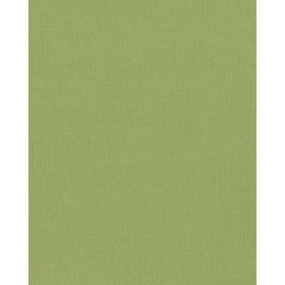 Жалюзи японские ткань Ара цвет зеленый 1058